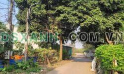 Chính chủ cần bán đất Bãi Dâu – Liên Minh – Minh Phương – Việt Trì – Phú Thọ