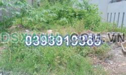 ⭐Bán đất vị trí đẹp tại thành phố Huế, 0393919365