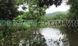 Cần bán gấp mảnh đất tại Phúc Trìu, TP Thái Nguyên – DT 1378m2 – Giá 2,1 tỷ