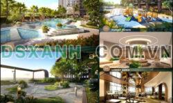 Thanh toán 11.9 Tr/Th, có ngay căn hộ chuẩn Nhật Bản cao cấp tại Vincom Dĩ An