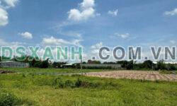 22459m2 đất quy hoạch chuyển SKC xã Lộc Giang, Đức Hòa, Long An giá 19 tỷ