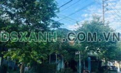 Bán Nhà Cấp 4 Gần Y Tế Phường Quang Trung, TP Hà Giang – DT 100m2 – Giá 1,2 tỷ