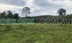 Bán 4.3ha Đất 2 Mặt suối Đường DT22 Xã La Dạ, Hàm Thuận Bắc, Bình Thuận