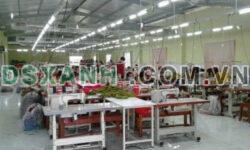 Nhà xưởng 2500m2 hẻm tỉnh lộ 7, xã Phước Thạnh, Củ Chi giá 17 tỷ