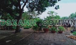 CHÍNH CHỦ CẦN BÁN LÔ ĐẤT CÓ SẴN KHÁCH SẠN TẠI ĐƯỜNG NGUYỄN THÔNG, PHÚ HÀI, TP. PHAN THIẾT