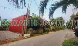 BÁN GẤP ĐẤT LÁI THIÊU, THIUẬN AN, BÌNH DƯƠNG – CHỦ NGỘP, HẠ 450 TR