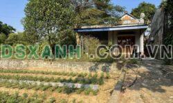 CẦN BÁN GẤP LÔ ĐẤT 562M² LINH SƠN, LÔ 2, ĐỘNG LỰC, HUỐNG THƯỢNG, TP THÁI NGUYÊN – GIÁ NHÌNH 2 TỶ