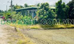Đất Sổ Đỏ 295 m2 ở Bến Cầu – Tây Ninh cần bán 400tr