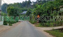 Bán đất thôn Chăn 1 – Khu dân cư đông đúc, Phú Linh, Vị Xuyên, Hà Giang