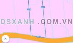 BÁN ĐẤT 1 SÀO 8 (1813m²) MẶT TIỀN NHỰA LONG MỸ, ĐẤT ĐỎ, BÀ RỊA VŨNG TÀU – GẦN BIỂN CHỈ 10 PHÚT