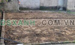 Chỉ 5xx triệu bán lô đất Nghi Liên, gần Bệnh viện U Bướu, Hồng Liên, TP Vinh, Nghệ An