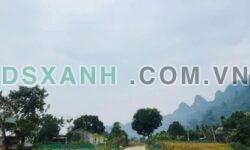 BÁN MẢNH ĐẤT TẠI PHONG QUANG, VỊ XUYÊN, HÀ GIANG – GIÁ 50 triệu/m