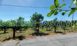 Chính chủ bán đất tại xã La Ngà, Định Quán, Đồng Nai, 0384145738