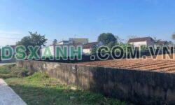 Bán nhanh lô đất Đại Sơn, Đô Lương, Nghệ An – Giá 42x triệu