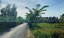 206m2 đất thổ Đông Thạnh, Cần Đước mặt tiền đường nhựa giá 2 tỷ