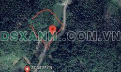 Bán Mảnh Đất Đẹp Tại Huyền Tụng, TP. Bắc Kạn – Diện Tích 1.232m², Giá Chỉ 399 Triệu