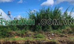 BÁN ĐẤT HẺM TRẦN PHÚ – XÃ LỘC CHÂU – BẢO LỘC – LÂM ĐỒNG