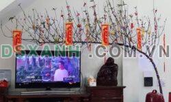 Bán Nhà 3 Tầng Cao Xanh, TP Hạ Long, Quảng Ninh – Giá hơn 2 tỷ