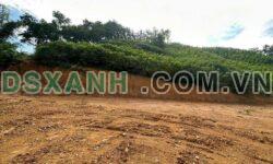 CHÍNH CHỦ BÁN LÔ ĐẤT 4700M², CÓ 400M² THỔ CƯ TẠI ĐỘNG ĐẠT, PHÚ LƯƠNG, THÁI NGUYÊN – GIÁ 8XX TRIỆU