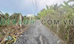 BÁN ĐẤT LÚA ẤP PHÚ XUÂN 2, PHÚ NGÃI TRỊ, CHÂU THÀNH, LONG AN
