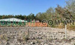 BÁN ĐẤT 5x70M – GẦN CỔNG 3 KCN PHƯỚC ĐÔNG – GIÁ CHỈ 620 TRIỆU