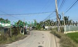 671m2 đất thổ Tân Trạch, Cần Đước giá 5,5 tỷ