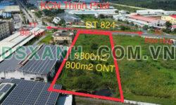 9800m2 đất mặt tiền Tỉnh lộ 824 xã Lương Bình,huyện Bến Lức giá 43 tỷ