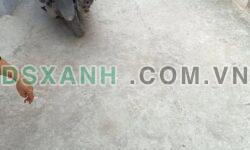 Bán đất tặng nhà cấp 4 – Thụy Phương, Bắc Từ Liêm