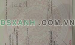 BÁN ĐẤT PHÚ LỢI, NHÁNH ĐƯỜNG NGUYỄN BÌNH, GẦN HUỲNH VĂN LŨY, THỦ DẦU MỘT, BÌNH DƯƠNG