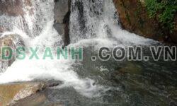 Bán trang trại du lịch sinh thái 12ha tại Đạ Huoai, Lâm Đồng