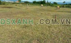 Chính chủ bán lô đất đẹp tại Vạn Hữu, Ninh Quang, TX Ninh Hòa