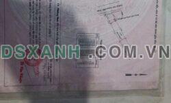 Bán Đất Hơn 200m² Mặt Tiền Đường Trần Quang Diệu, Tân Bình, TP Dĩ An, Bình Dương