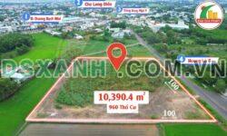 Bán đất mặt tiền Hương Lộ 8, TT Long Điền, Bà Rịa – 10.000m², 960m² thổ cư!