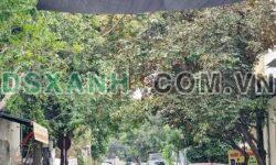 BÁN LÔ ĐẤT NGÕ XE MÁY, ĐƯỜNG LƯƠNG ĐẮC BẰNG, LÊ LAI, ĐÔNG SƠN, TP THANH HÓA