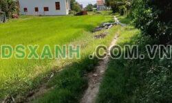 Bán nhanh lô đất tại thôn Tân Ninh, xã Ninh Trung, thị xã Ninh Hòa, Khánh Hòa