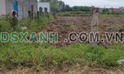BÁN HƠN 2 SÀO ĐẤT (CÂY LÂU NĂM) NGAY CHỢ HỢP 6, HÀM CHÍNH