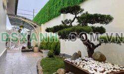 CHÍNH CHỦ BÁN BIỆT THỰ HOÀN CÔNG – P.8, ĐÀ LẠT, LÂM ĐỒNG