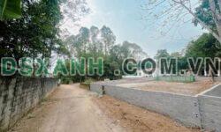 BÁN ĐẤT KHU 15 – TIÊN KIÊN, LÂM THAO, PHÚ THỌ