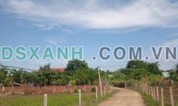 CHÍNH CHỦ CẦN TIỀN LÀM ĂN NÊN BÁN LÔ ĐẤT 500M² TẠI QUỐC LỘ 25, HUYỆN SƠN HÒA, PHÚ YÊN