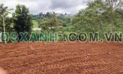 CHÍNH CHỦ BÁN ĐẤT VIEW TUYỆT ĐẸP TẠI TP. BẢO LỘC, LÂM ĐỒNG