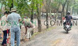 BÁN ĐẤT ĐẸP GIÁ CỰC RẺ – HOÀ LỢI, TP BẾN CÁT, BÌNH DƯƠNG