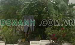BÁN LÔ ĐẤT – HÀ QUANG 2 (STH37), PHƯỚC HẢI, NHA TRANG