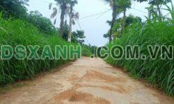Bán đất rẻ chỉ 8xx triệu – 654m², mặt tiền hơn 30m tại Liễn Sơn – TT Lập Thạch, Vĩnh Phúc