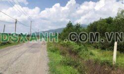 Bán Đất Gần 1ha tại Xã Xuân Thọ, Xuân Lộc, Đồng Nai