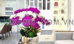 Bán siêu phẩm Villa Mini 4 tầng tại Hồ Sen, Hải Phòng