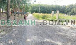 BÁN ĐẤT HÒA LỢI, GIÁP KCN VISIP2 VÀ KCN ĐỒNG AN, BÌNH DƯƠNG