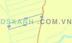 CẦN BÁN ĐẤT ĐỂ ĐIỀU TRỊ BỆNH – 1000m² CÂY GÁO, TRẢNG BOM