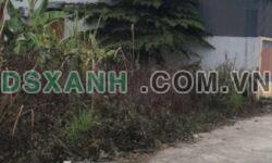 BÁN ĐẤT NGÕ 318, TỔ 12, CHÍ KIÊN – KM4 ĐƯỜNG ĐI THÁI NGUYÊN