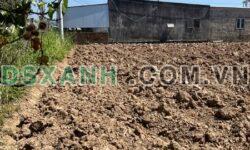 BÁN ĐẤT ĐẸP – XÃ TÂN HỘI, HUYỆN ĐỨC TRỌNG, LÂM ĐỒNG