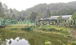 BÁN TRANG TRẠI MINI MINH BẢO – CƠ HỘI ĐẦU TƯ SINH LỜI